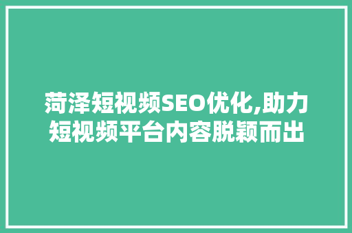 菏泽短视频SEO优化,助力短视频平台内容脱颖而出
