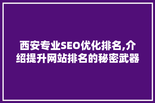西安专业SEO优化排名,介绍提升网站排名的秘密武器