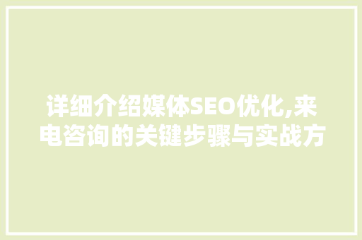 详细介绍媒体SEO优化,来电咨询的关键步骤与实战方法