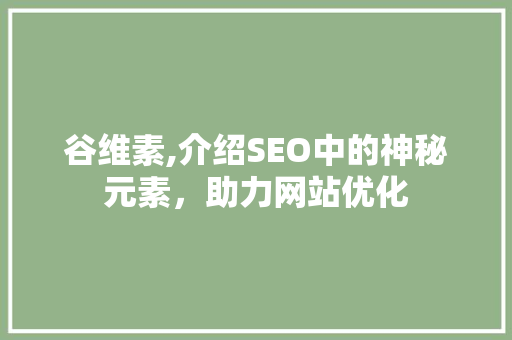 谷维素,介绍SEO中的神秘元素，助力网站优化