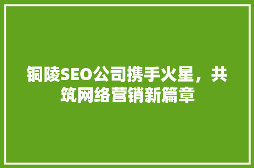 铜陵SEO公司携手火星，共筑网络营销新篇章