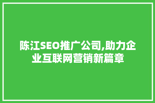 陈江SEO推广公司,助力企业互联网营销新篇章