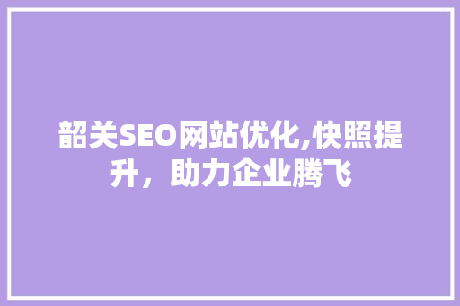 韶关SEO网站优化,快照提升，助力企业腾飞  第1张