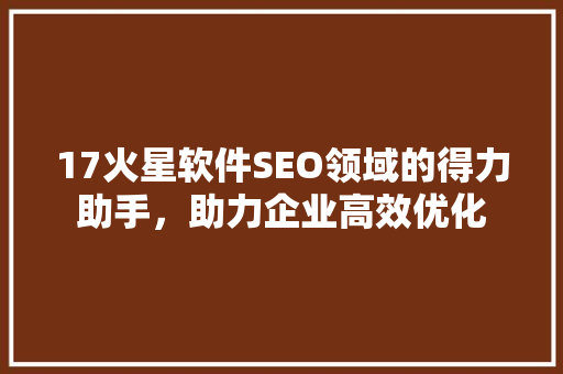 17火星软件SEO领域的得力助手，助力企业高效优化
