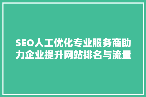 SEO人工优化专业服务商助力企业提升网站排名与流量