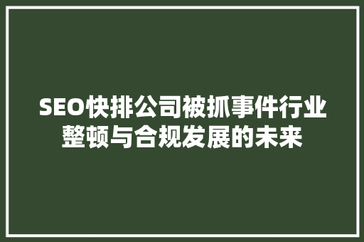 SEO快排公司被抓事件行业整顿与合规发展的未来