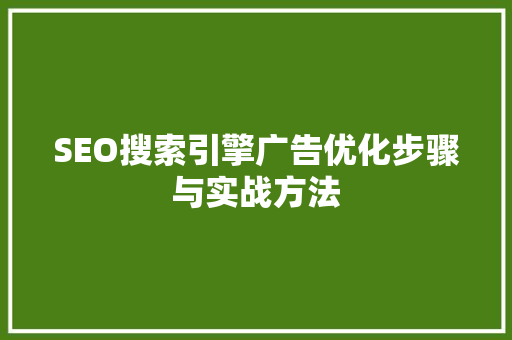 SEO搜索引擎广告优化步骤与实战方法
