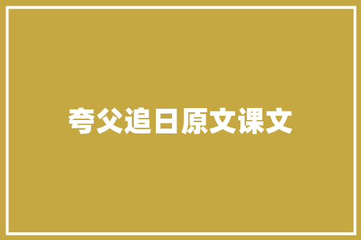 企信代码企业信用体系建设的基石