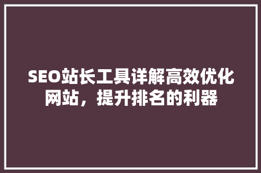SEO站长工具详解高效优化网站，提升排名的利器