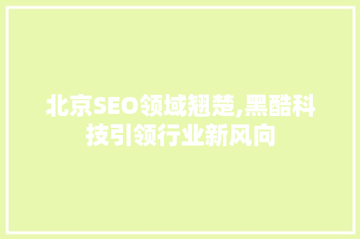 北京SEO领域翘楚,黑酷科技引领行业新风向  第1张