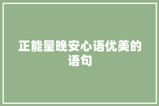 分级代码在软件开发中的应用与价值