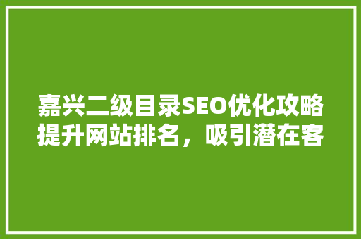 嘉兴二级目录SEO优化攻略提升网站排名，吸引潜在客户  第1张
