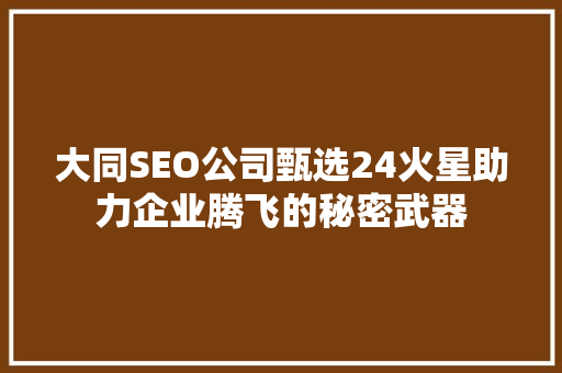 大同SEO公司甄选24火星助力企业腾飞的秘密武器