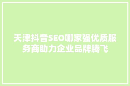 天津抖音SEO哪家强优质服务商助力企业品牌腾飞