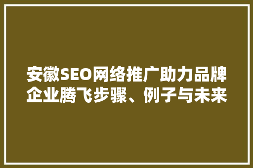 安徽SEO网络推广助力品牌企业腾飞步骤、例子与未来展望