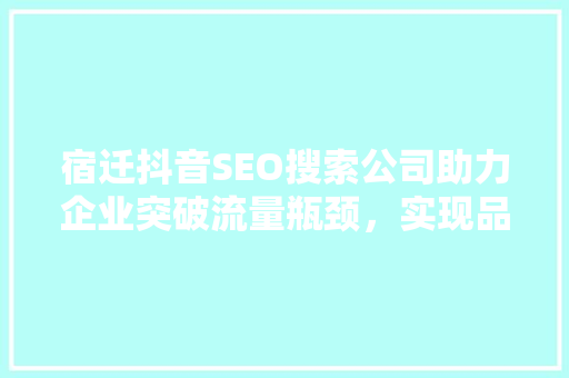宿迁抖音SEO搜索公司助力企业突破流量瓶颈，实现品牌价值最大化