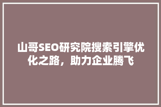 山哥SEO研究院搜索引擎优化之路，助力企业腾飞