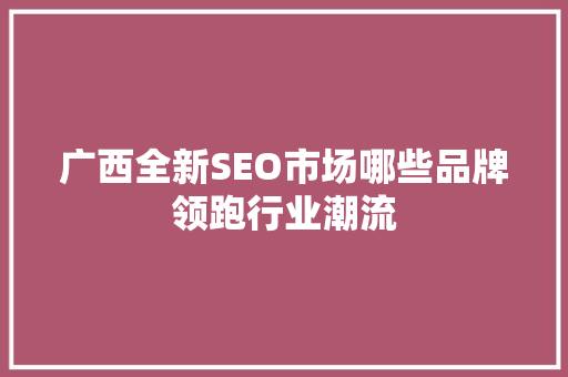 广西全新SEO市场哪些品牌领跑行业潮流