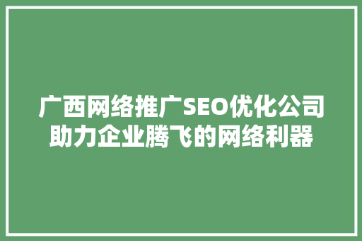 广西网络推广SEO优化公司助力企业腾飞的网络利器