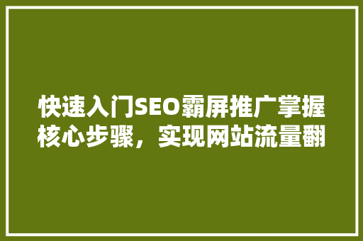 快速入门SEO霸屏推广掌握核心步骤，实现网站流量翻倍  第1张