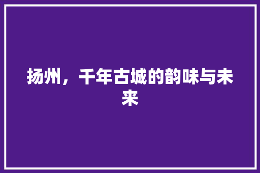 扬州，千年古城的韵味与未来