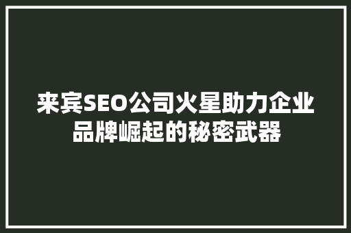 来宾SEO公司火星助力企业品牌崛起的秘密武器  第1张