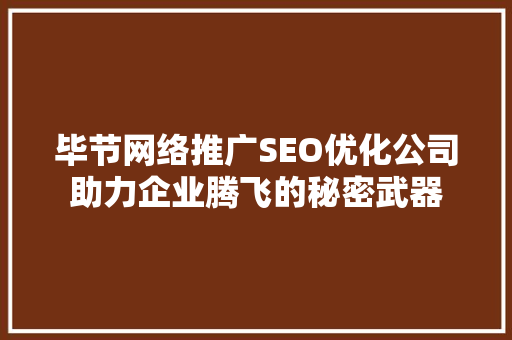 毕节网络推广SEO优化公司助力企业腾飞的秘密武器
