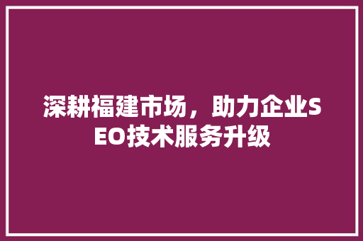 深耕福建市场，助力企业SEO技术服务升级