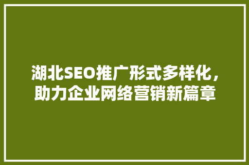 湖北SEO推广形式多样化，助力企业网络营销新篇章