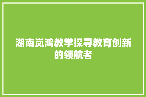 湖南岚鸿教学探寻教育创新的领航者