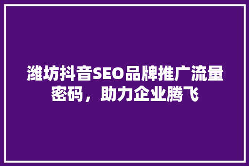 潍坊抖音SEO品牌推广流量密码，助力企业腾飞