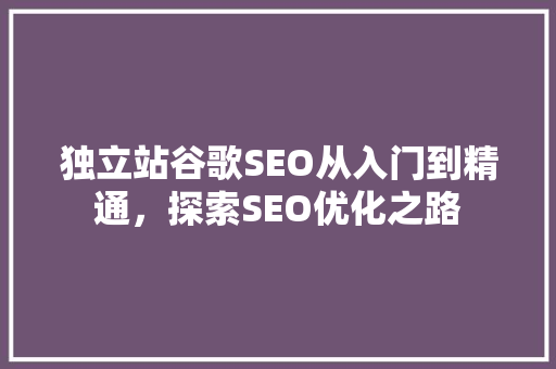 独立站谷歌SEO从入门到精通，探索SEO优化之路  第1张