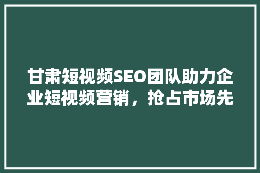 甘肃短视频SEO团队助力企业短视频营销，抢占市场先机