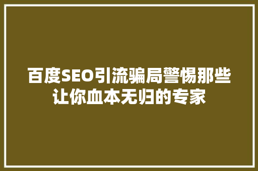 百度SEO引流骗局警惕那些让你血本无归的专家  第1张