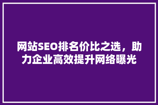 网站SEO排名价比之选，助力企业高效提升网络曝光  第1张