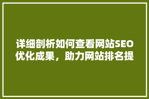 详细剖析如何查看网站SEO优化成果，助力网站排名提升  第1张