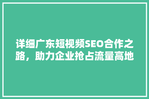 详细广东短视频SEO合作之路，助力企业抢占流量高地