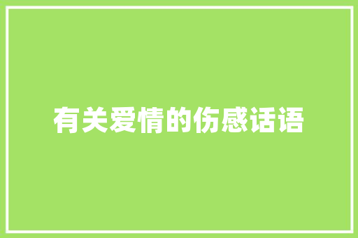 Bpmatlab高效矩阵运算的MATLAB代码与应用