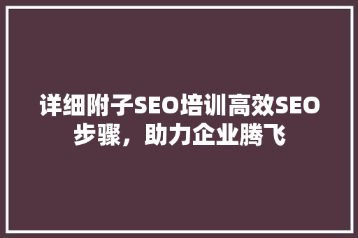 详细附子SEO培训高效SEO步骤，助力企业腾飞