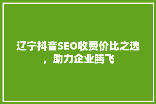 辽宁抖音SEO收费价比之选，助力企业腾飞