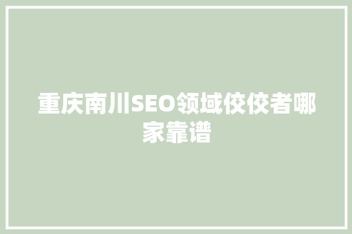 重庆南川SEO领域佼佼者哪家靠谱