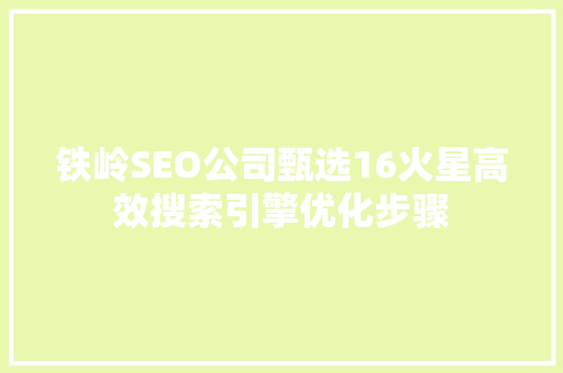 铁岭SEO公司甄选16火星高效搜索引擎优化步骤