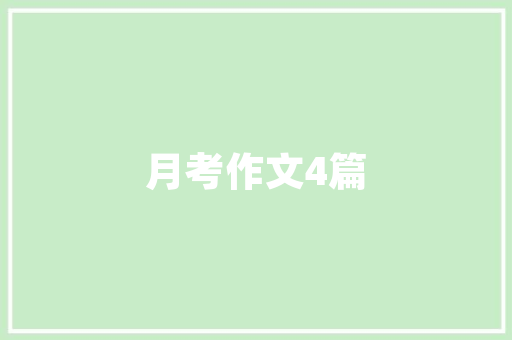 CSS下拉菜单之美技术艺术与用户体验的完美结合