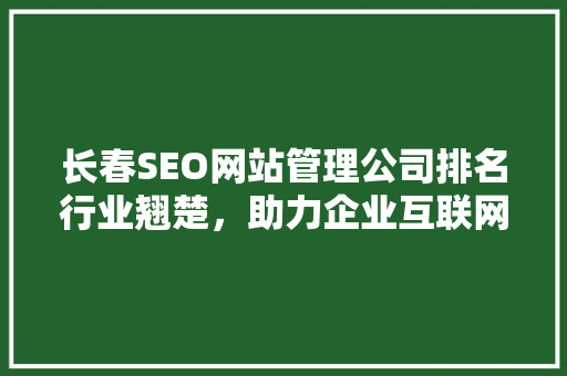 长春SEO网站管理公司排名行业翘楚，助力企业互联网营销