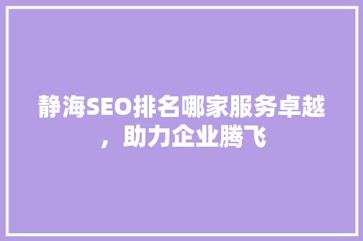 静海SEO排名哪家服务卓越，助力企业腾飞