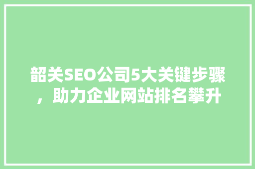 韶关SEO公司5大关键步骤，助力企业网站排名攀升