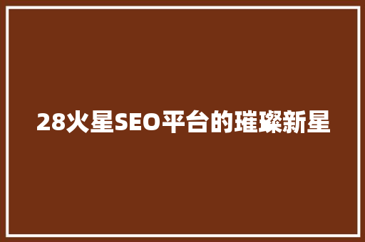 28火星SEO平台的璀璨新星