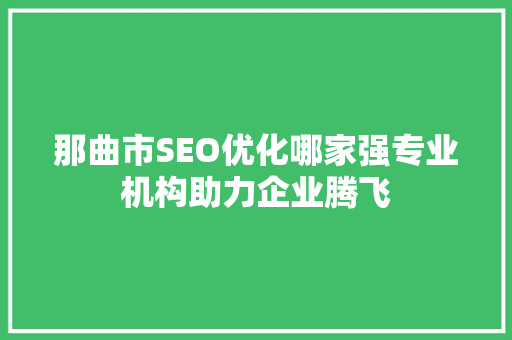 那曲市SEO优化哪家强专业机构助力企业腾飞