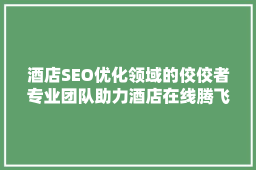 酒店SEO优化领域的佼佼者专业团队助力酒店在线腾飞