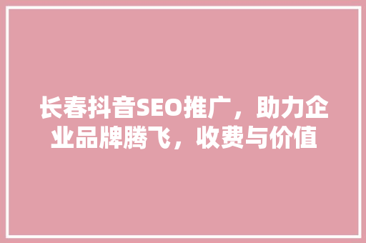 长春抖音SEO推广，助力企业品牌腾飞，收费与价值
